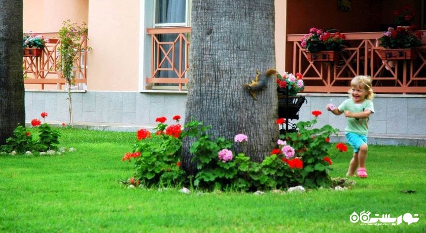 محوطه فضای سبز هتل